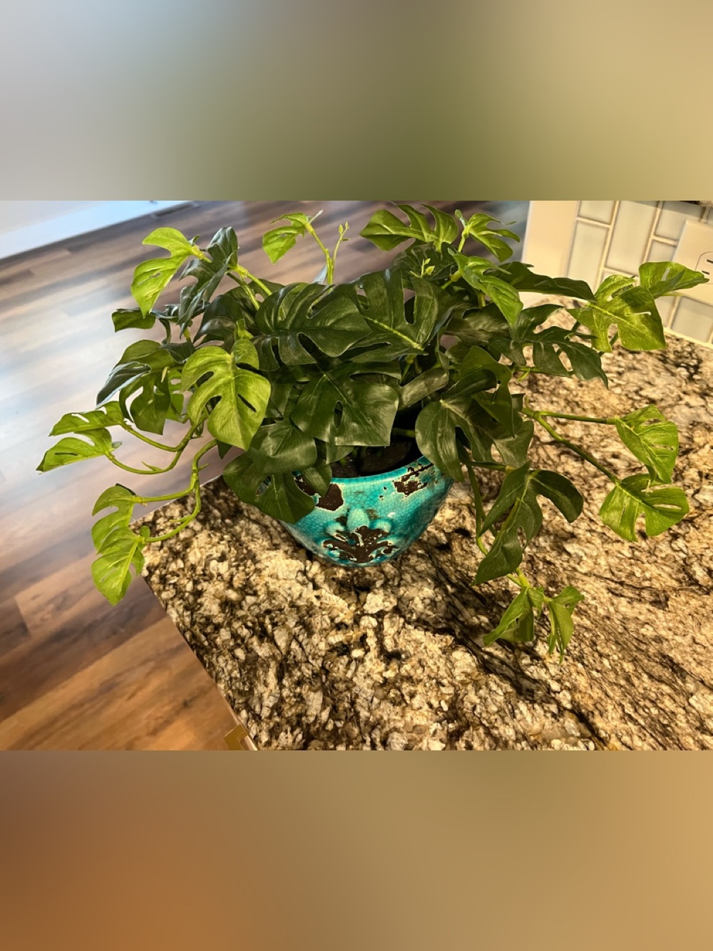 Hobby Lobby Faux Split Leaf Monstera Plant in Fleur-de-Lis Ceramic Pot 5”